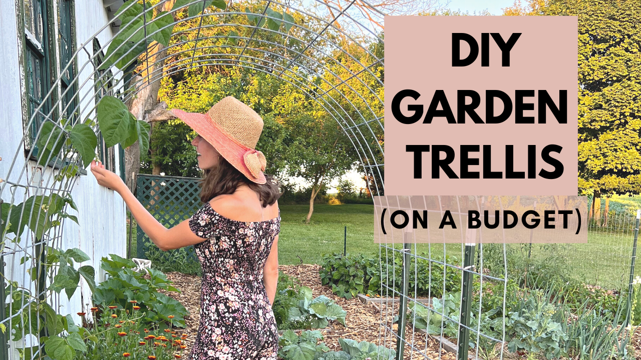 DIY Cattle Panel Trellis